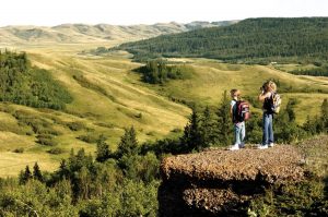 Cypress Hills Trip Report for 2022 Saskatoon Custom Bird Tour