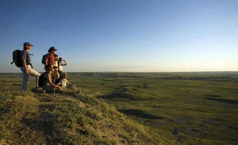 Grasslands National Park Birding Tour