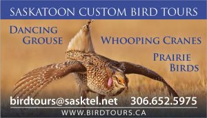 Saskatoon Custom Bird Tours