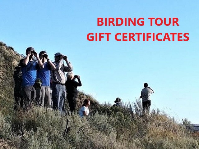 Birding Tour Gift Certificates