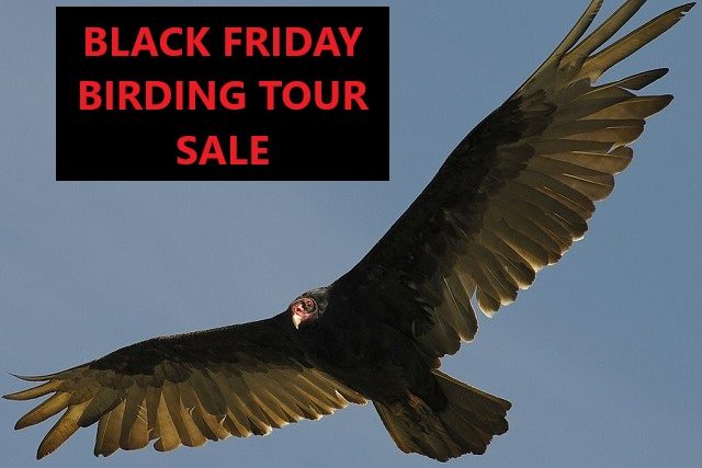 Great News: BLACK FRIDAY Tour Discounts on any 2023 Birding and Bird Photography Tours from Saskatoon Custom Bird Tours