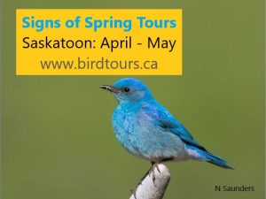 Signs of Spring Tours