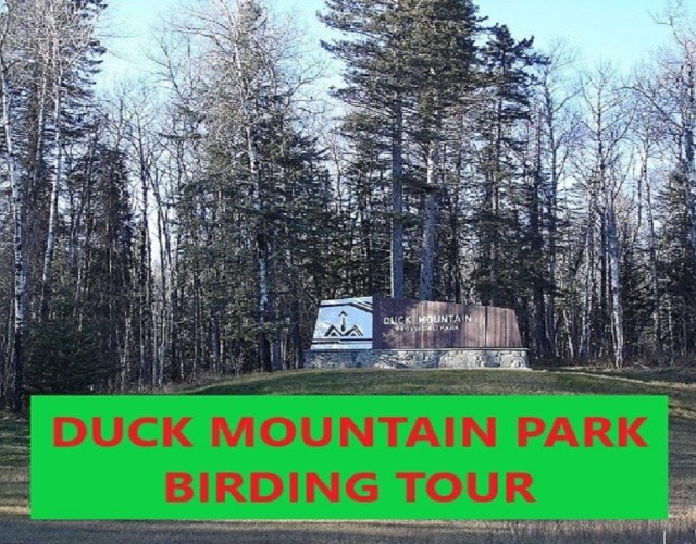 Duck Mountain Park