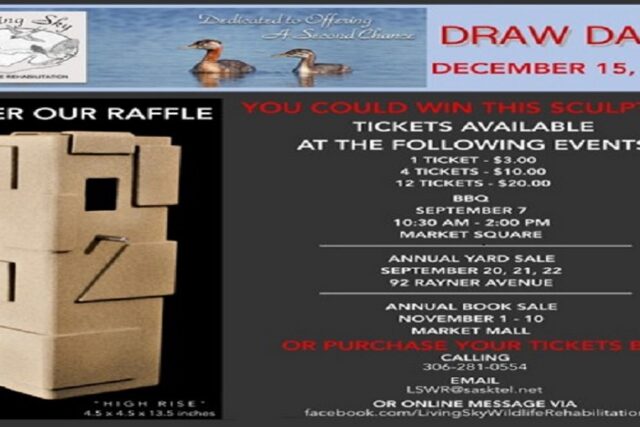 Kepler sculpture Raffle – Draw Date: December 15, 2024