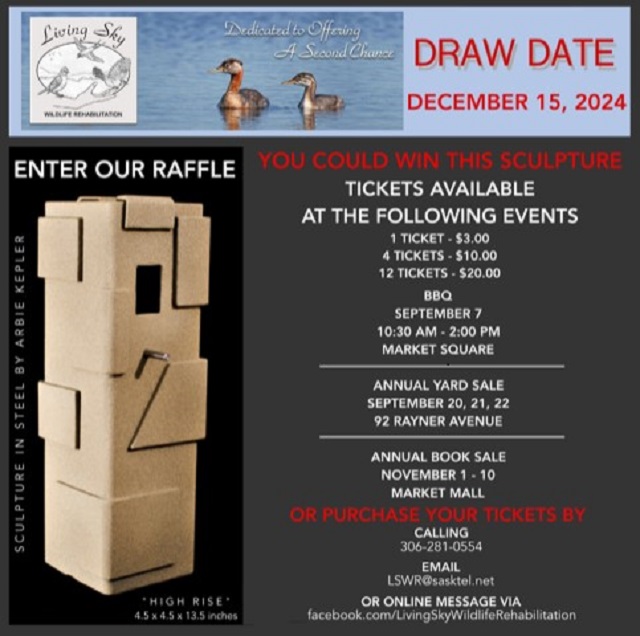 Kepler Sculpture Raffle