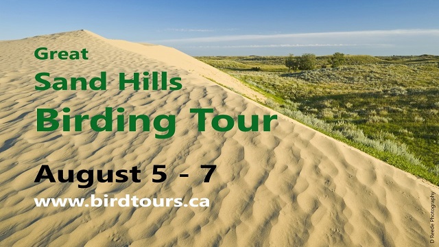 Great Sand Hills Birdwatching Tour