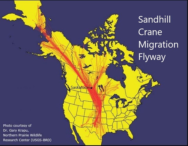 Migration Flyway map for Sandhill Crane photography