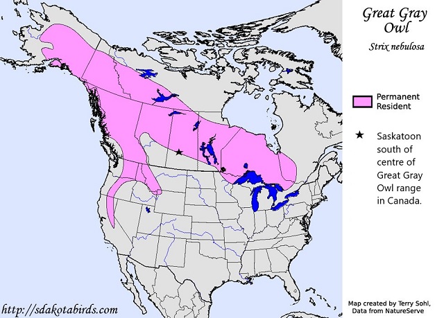 Great Gray Owl map