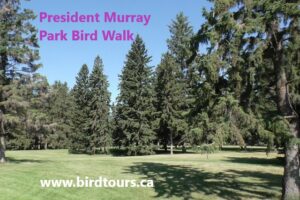 President Murray Bird Walk
