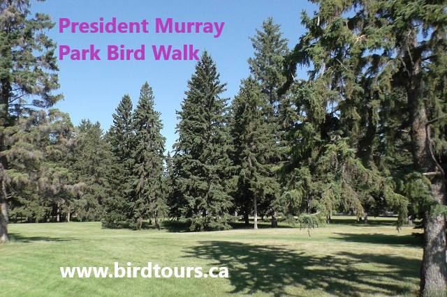 President Murray Park Bird Walk 2024
