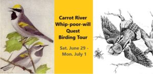 Carrot River Birding Tour