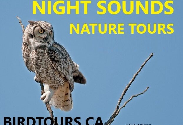 Night Sounds Nature Tour 2024