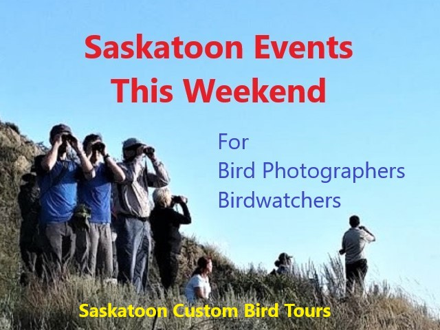 Saskatoon Events This Weekend