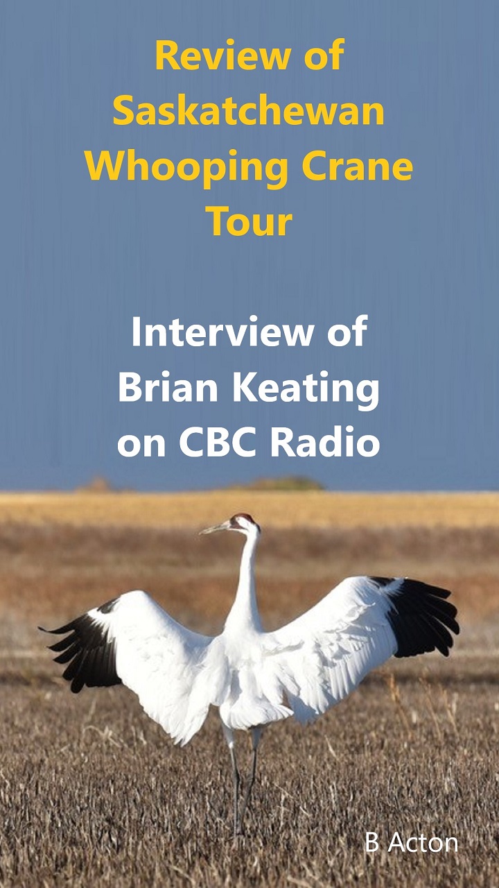 CBC Radio Review of Whooping Crane Tours