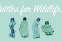 Bottles for Wildlife - Support Living Sky Wildlife Rehabilitation charity