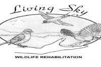 Support Living Sky Wildlife Rehabiliation