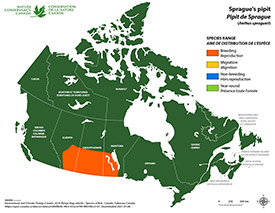 Sprague's Pipit Map