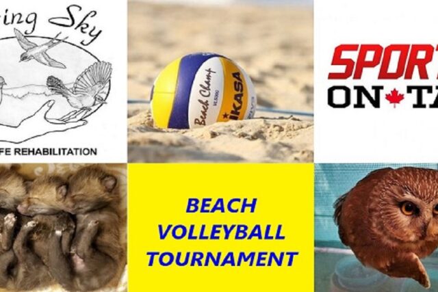 Beach Volleyball Tournament 2024