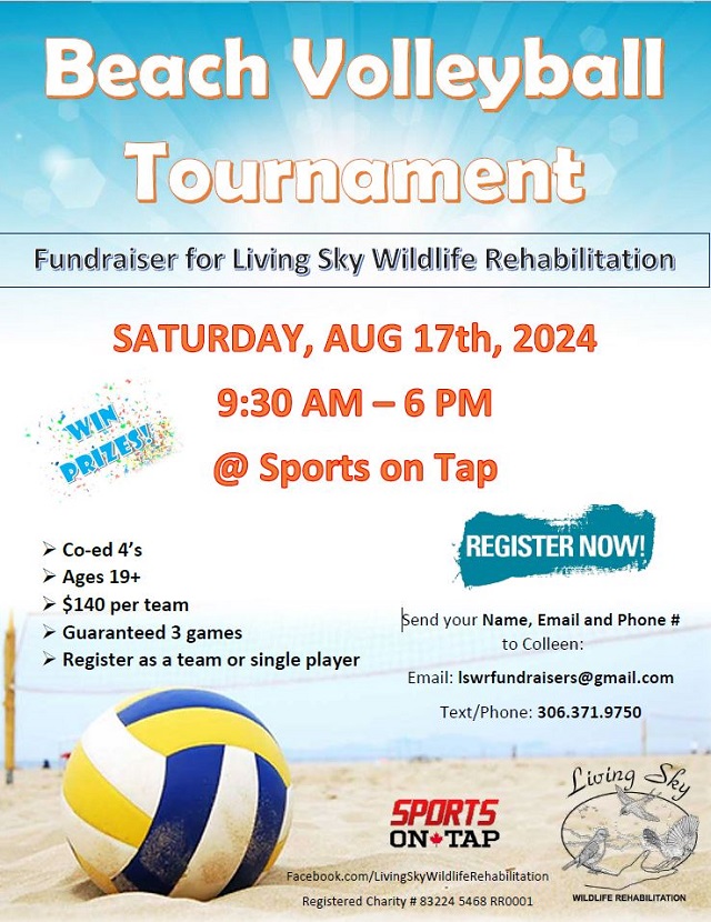 Beach Volleyball Tournament