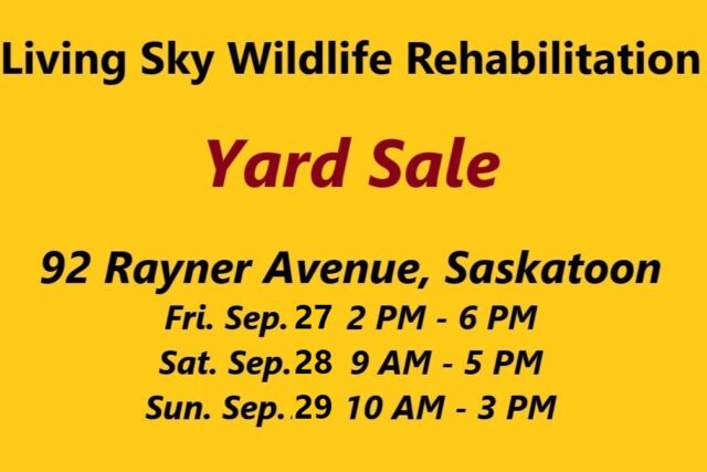 Yard Sale: Great bargains from September 27 – 29