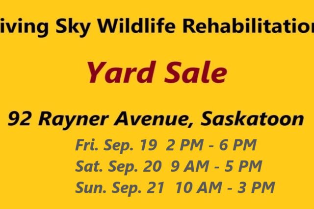Yard Sale: Great bargains from September 19 – 21