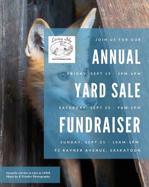 LSWR Yard Sale September 19 - 21, 92 Rayner Avenue