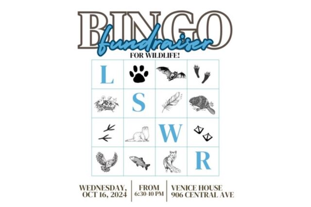 Bird Bingo – Great Twist to the Game: October 16 – sold out