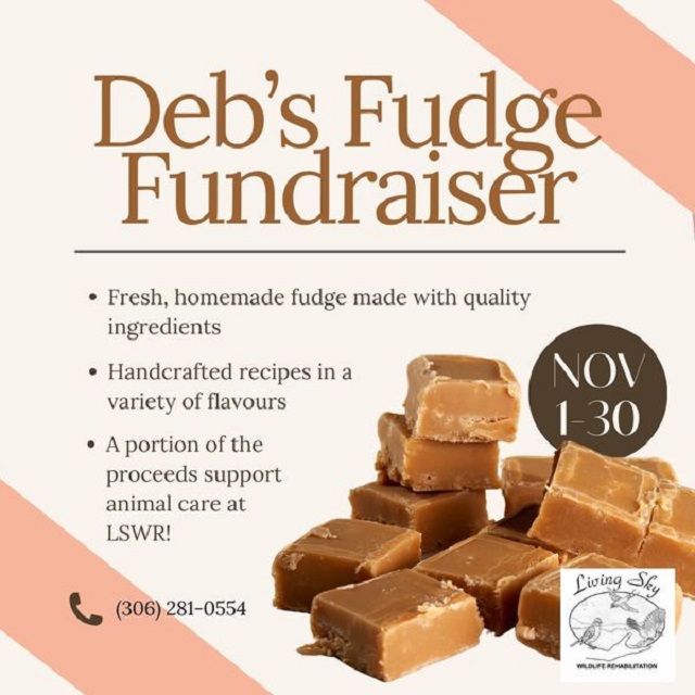 Fudge Fundraiser