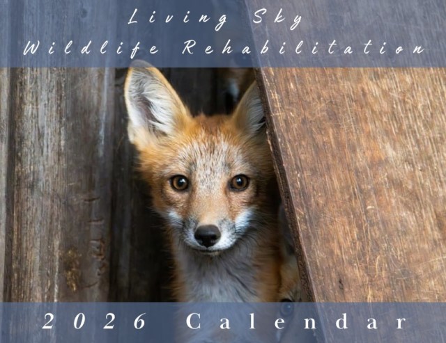 2026 LSWR Wildlife Calendar