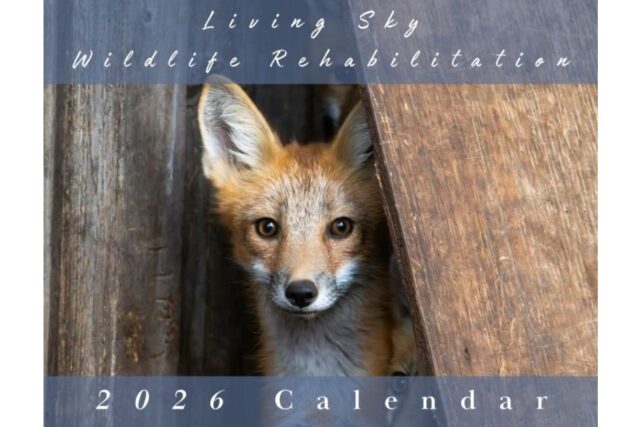 2026 LSWR Wildlife Calendar Order Form