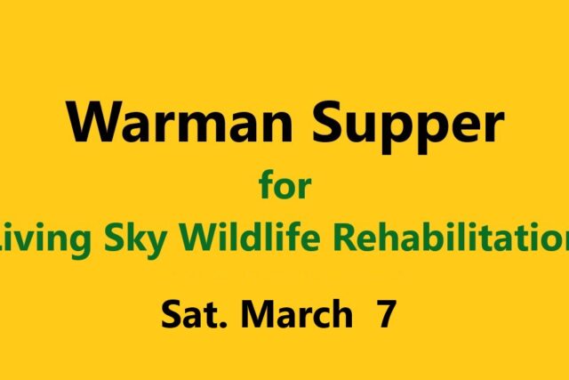 Fundraising Supper for Living Sky Wildlife Rehabilitation – Sat. March 7, 2026 at SkyChef Family Restaurant in Warman
