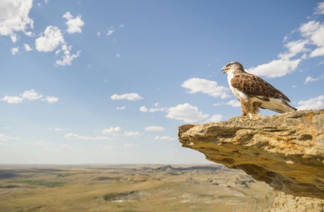 Saskatchewan Nature Grasslands