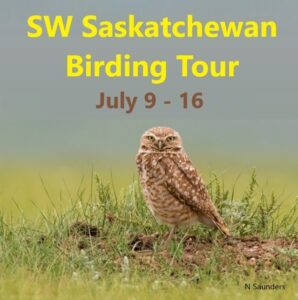 SW Saskatchewan Birding Tour: July 9 - 16, 2025