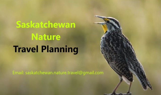 Saskatchewan Nature Travel Planning