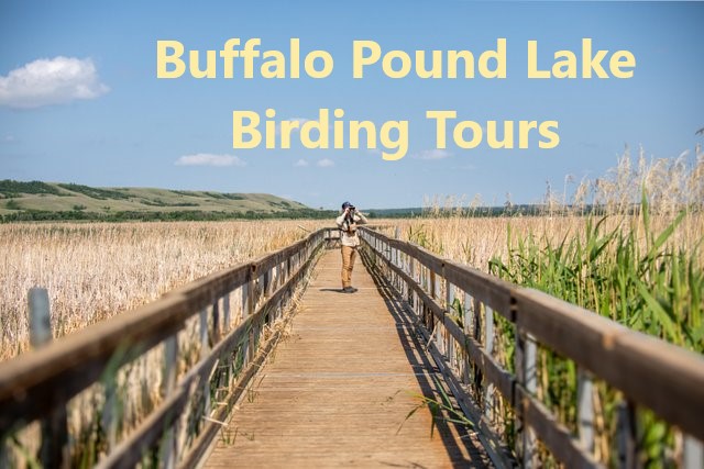 Buffalo Pound Boardwalk