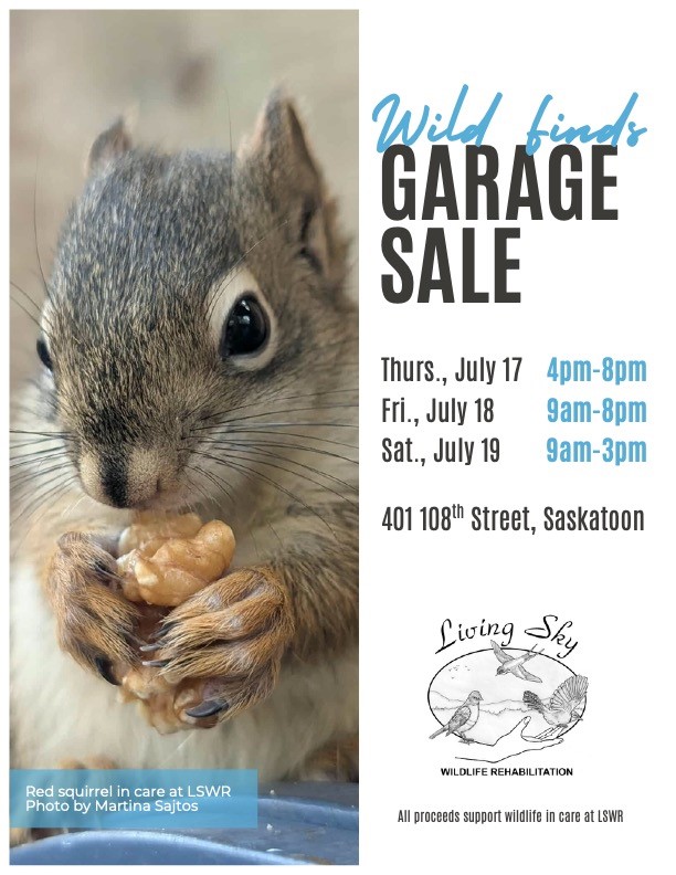 Wild Finds Garage Sale Saskatoon