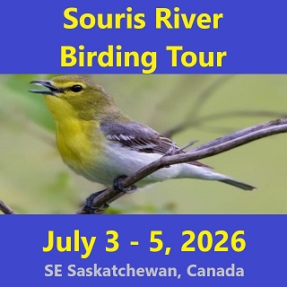 Souris River Birding Tour