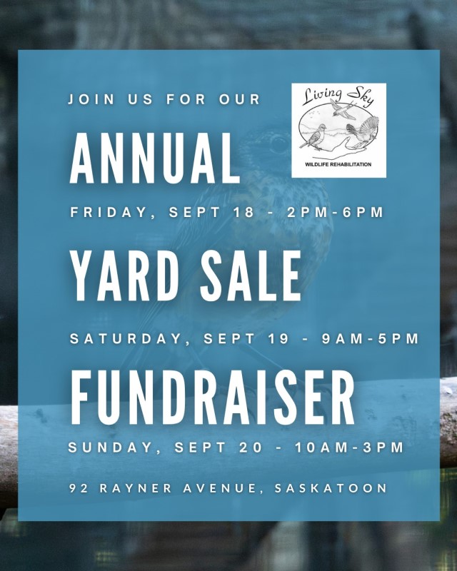 Living Sky Wildlife Rehabilitation Yard Sale 2026