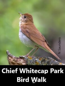 Chief Whitecap Park Bird Walk