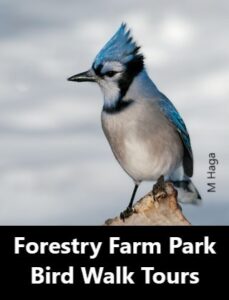 Forestry Farm Park Bird Walk Tours