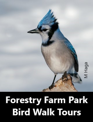 Forestry Farm Park Bird Walk Tours