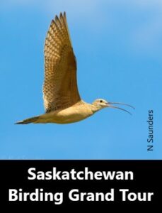 Saskatchewan Spring Birding Grand Tour