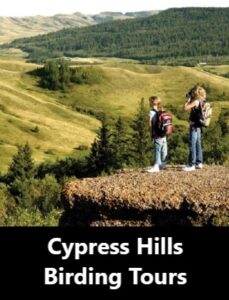 Cypress Hills Birding Tours