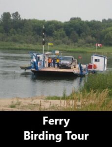 Ferry Birding Tour