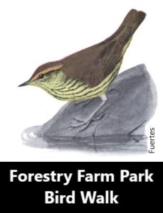Forestry Farm Park Bird Walk