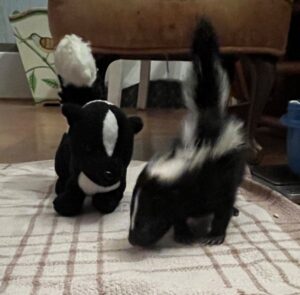 Stuffed skunk toys are used to help rehabilitate injured and orphaned skunks.
