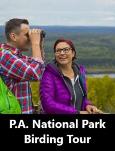 Prince Albert National Park Birding Tour