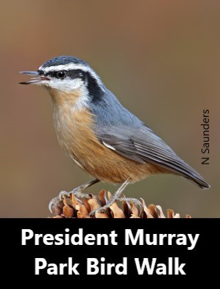 President Murray Park Bird Walk