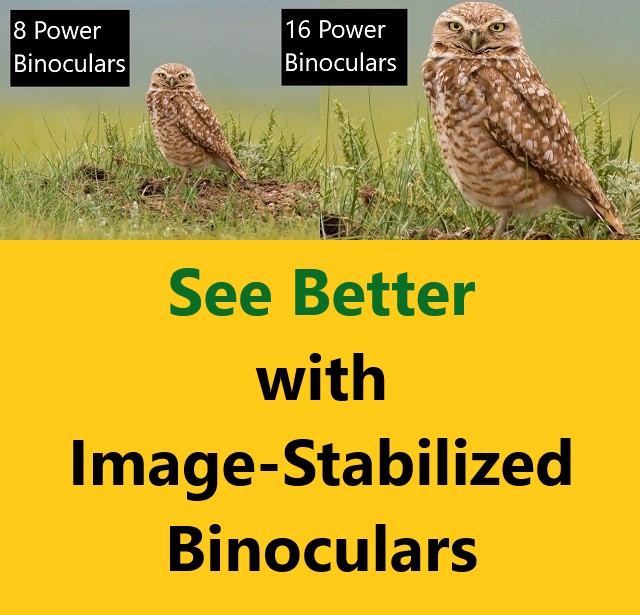 See Better with Image Stabilized Binoculars.