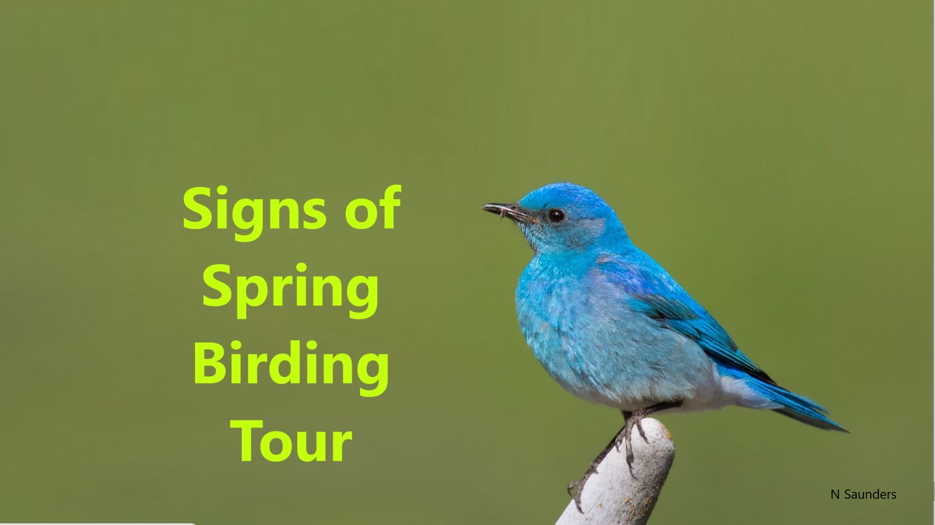 Signs Of Spring Birding Tour: 2 Great Options ♿ - Living Sky Wildlife ...